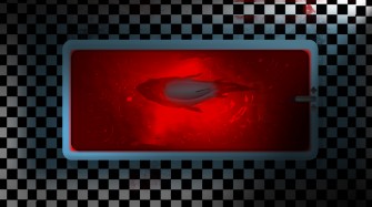 Shark In The Bathtube